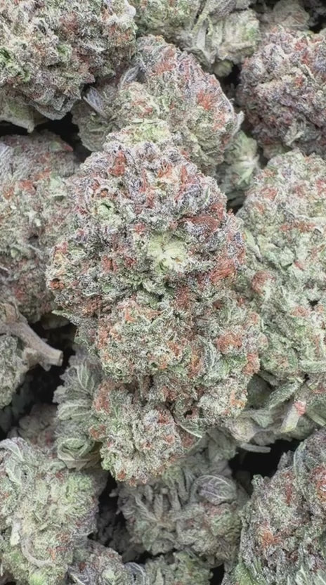 Truffle - Bulk - Indica