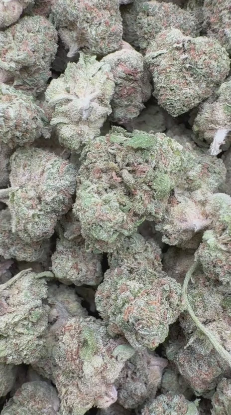 Pinnacle Mintz Minis - Bulk Minis - Indica