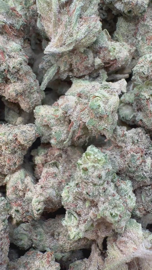 GMO Indoor Minis - Bulk Minis - Indica