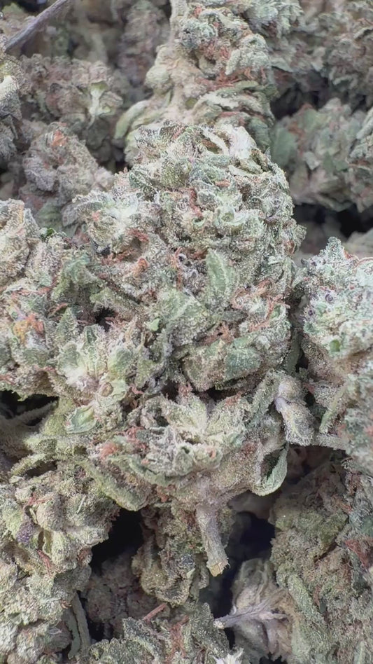 Wedding Crasher - Bulk - Indica