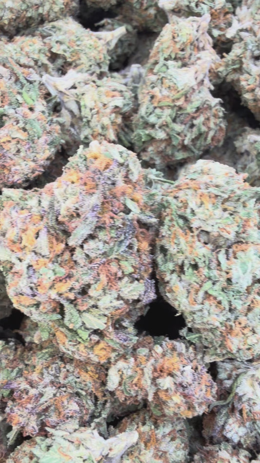 Biscotti Cake - Bulk - Hybrid