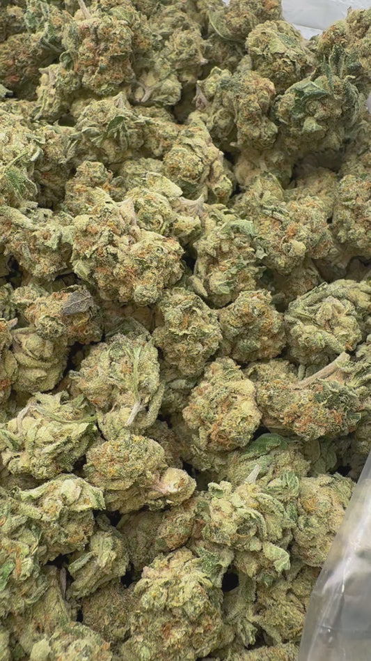 Butter Pina Mediums - Bulk Mediums - Indica