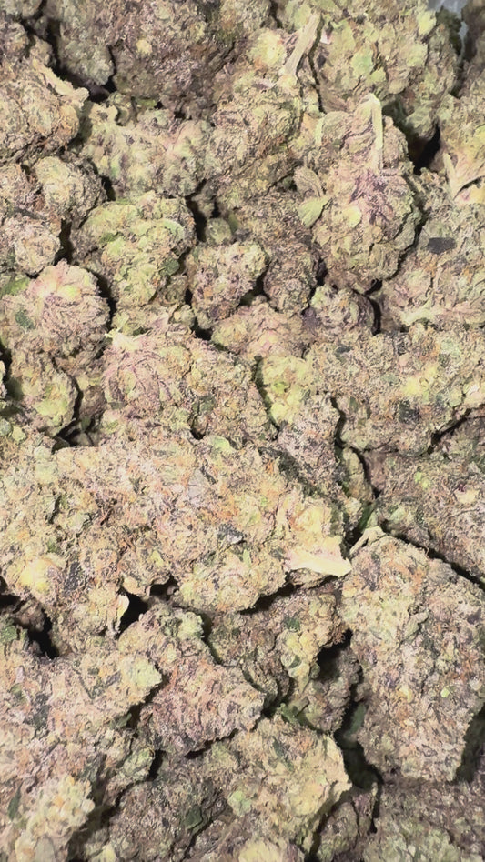 Jealousy - Bulk - Hybrid