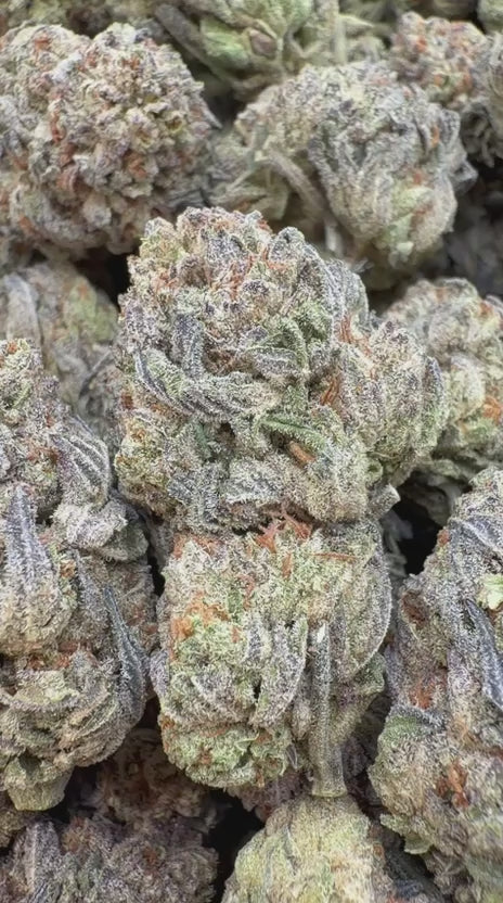 Oreoz - Bulk - Indica