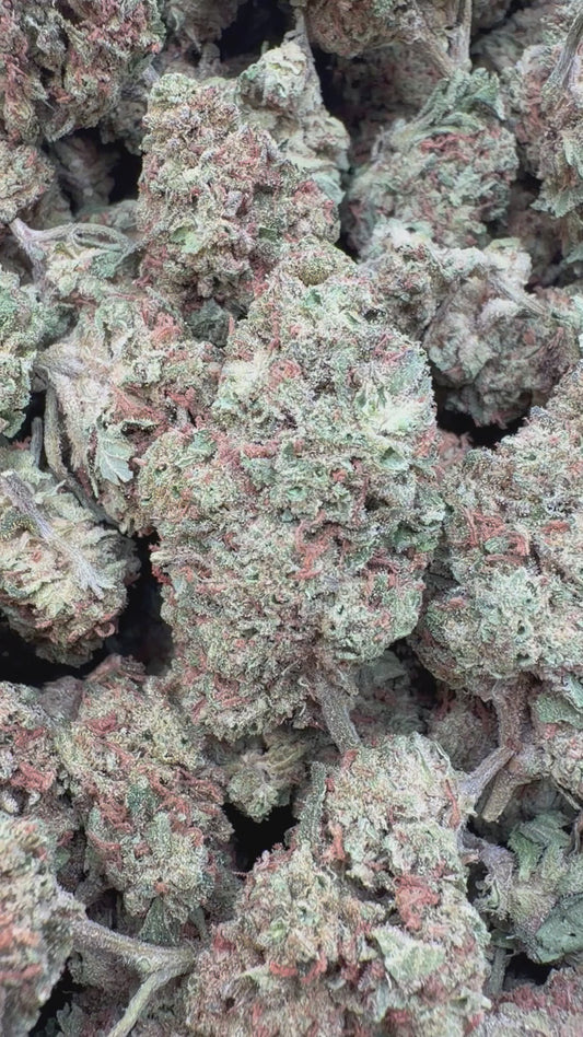 Panama Red - Bulk - Sativa