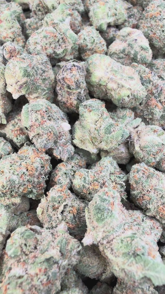 London Pound Cake 97 Minis - Bulk Minis - Indica