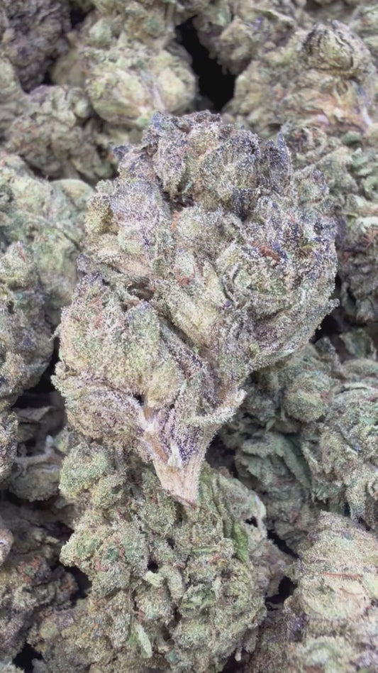 Wedding Crasher- Bulk - Indica