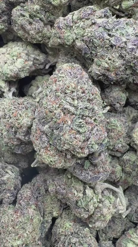 Wedding Cake - Bulk - Indica