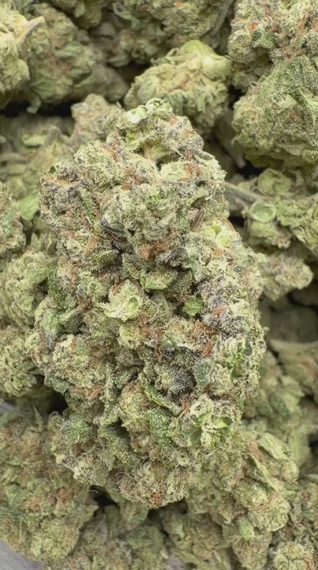 Gusher Mintz - Bulk - Indica