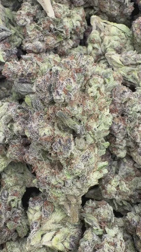 SinMint Cookies - Bulk - Indica