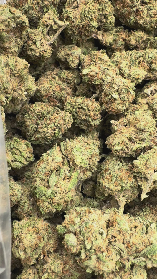 Jokerz - Bulk - Indica