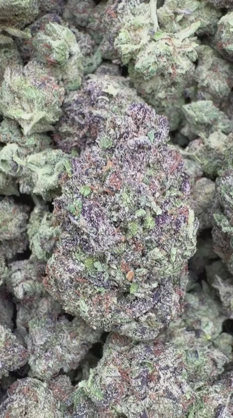 Grape Soda - Bulk - Sativa