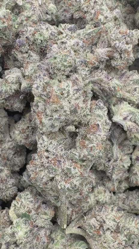 Oreo Runtz - Bulk - Hybrid