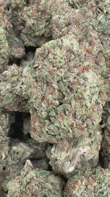 Jager Sour Diesel - Bulk - Sativa